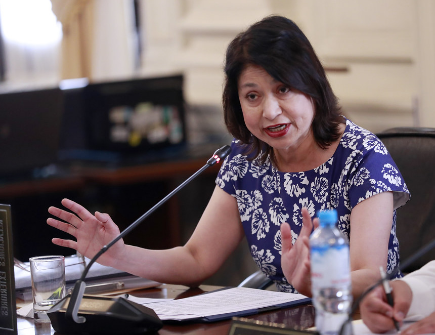¿Por qué el bloque de izquierda en el Congreso quiere interpelar a la canciller Ana María Gervasi?