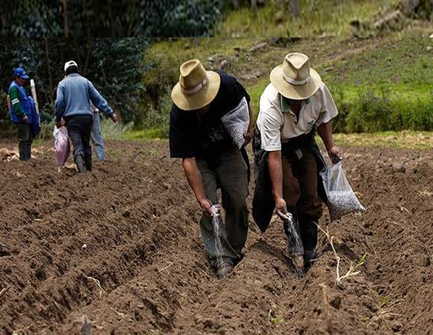 Juliaca: Saldo fatal de 17 muertos además de 30 heridos deja enfrentamientos entre pobladores y las fuerzas del orden