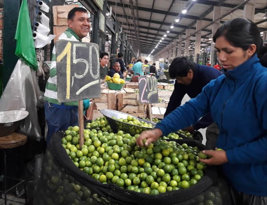 CIDH anuncia asignación de relatorías temáticas 2024; Stuardo Ralón seguirá a cargo de casos sobre Perú