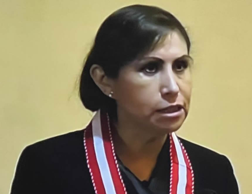 Alberto Borea ante el Consejo Permanente de la OEA: “Quiero ser un juez que cuide América y a los americanos”