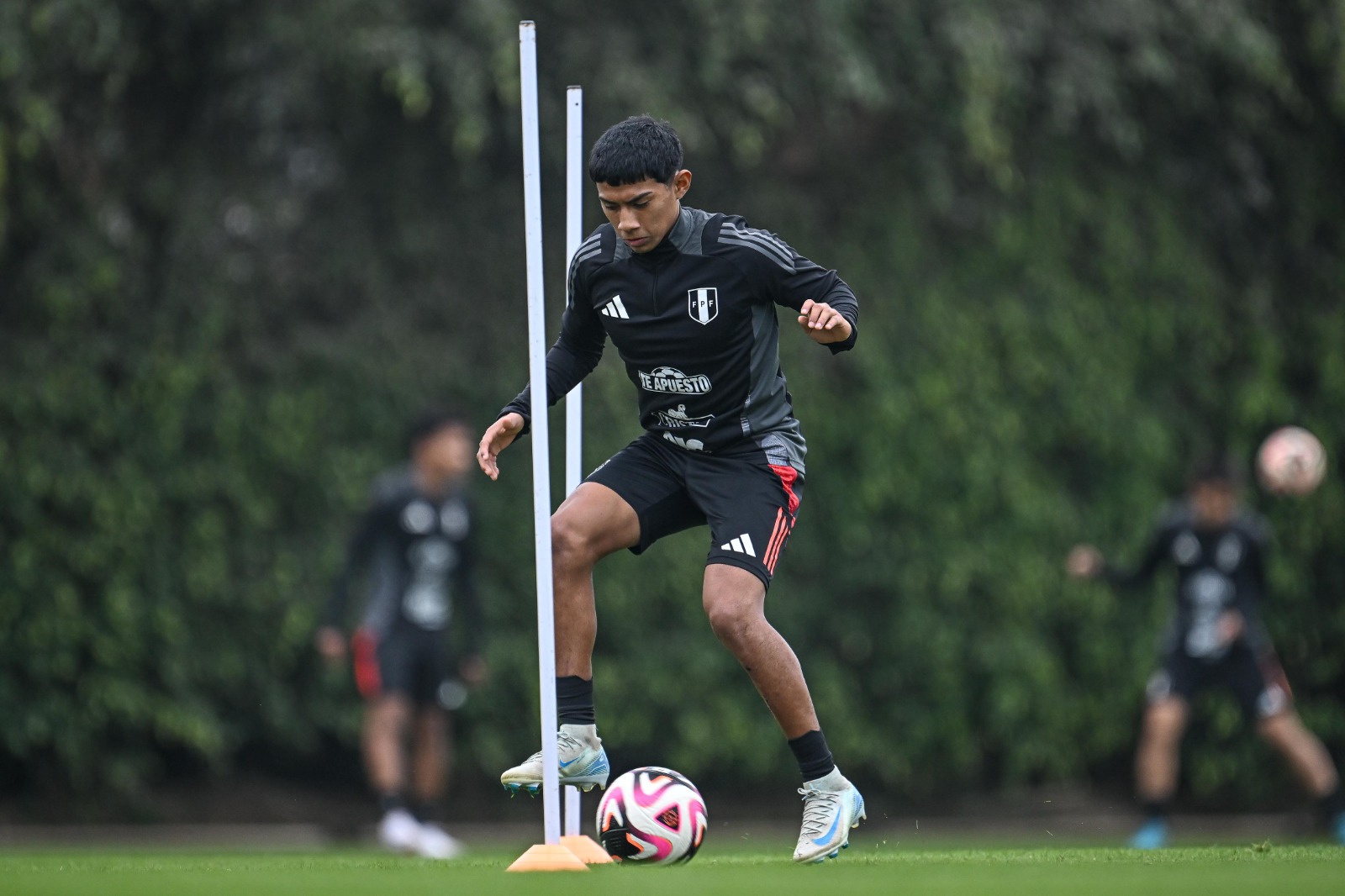 Desconvocados por lesión: Gianluca Lapadula y Renato Tapia se pierden Eliminatorias