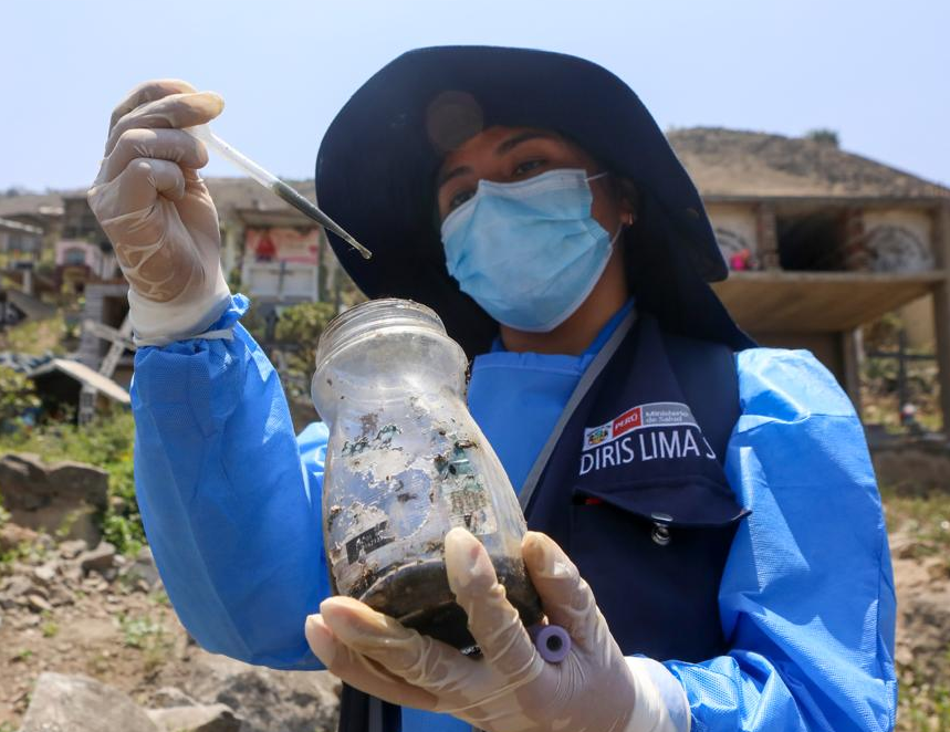 Hasta la semana epidemiológica 40 de 2026, el país registró 71 256 casos de dengue, un incremento del 122 % respecto al mismo periodo de 2025 (Foto: Minsa).